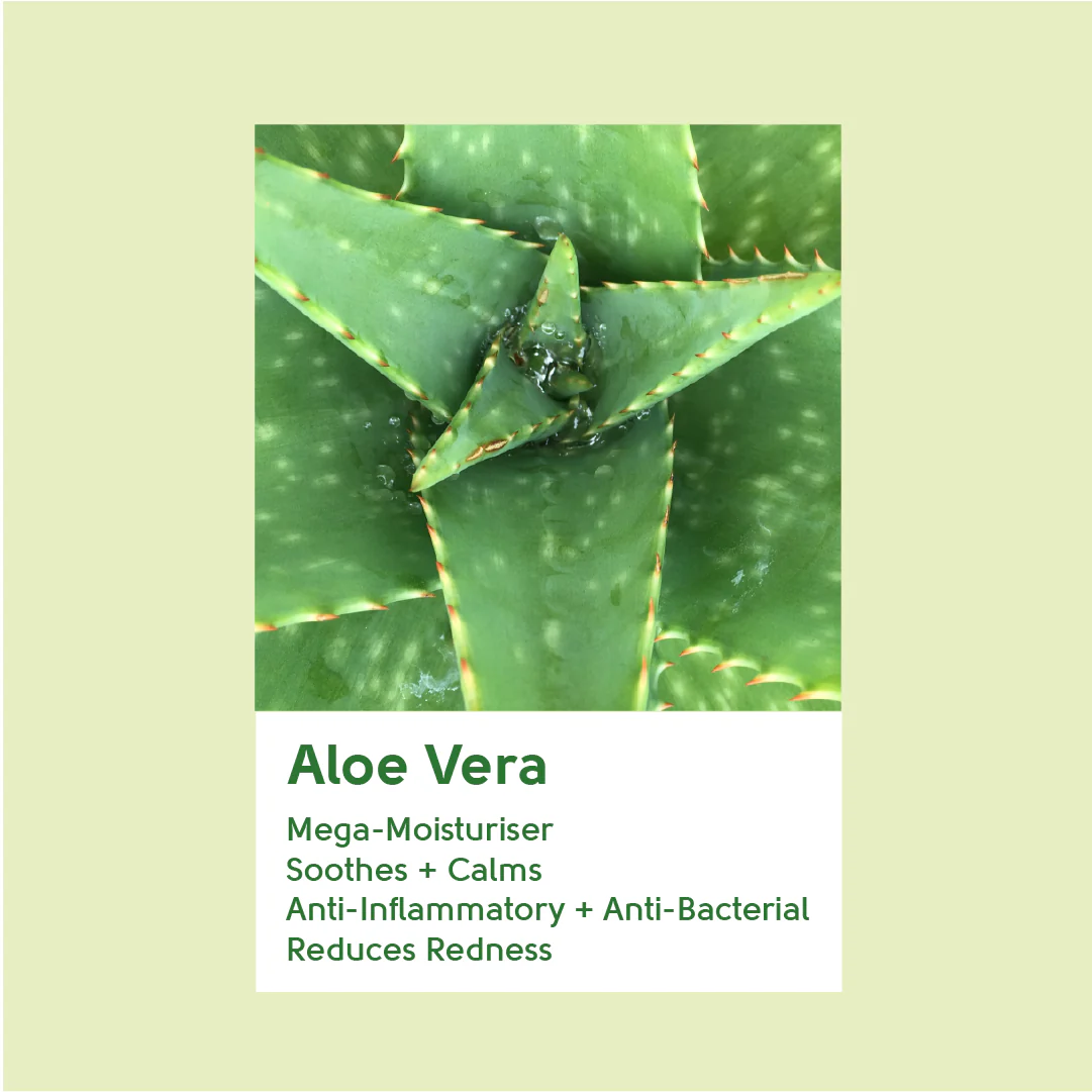 Aloe Vera Hydrating Day Cream - Image 3